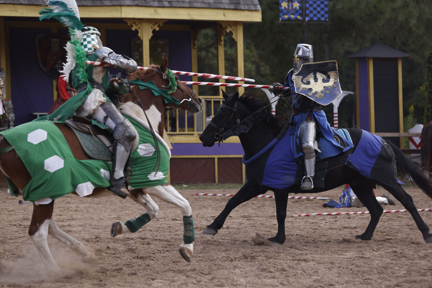 Texas Renaissance Festival
